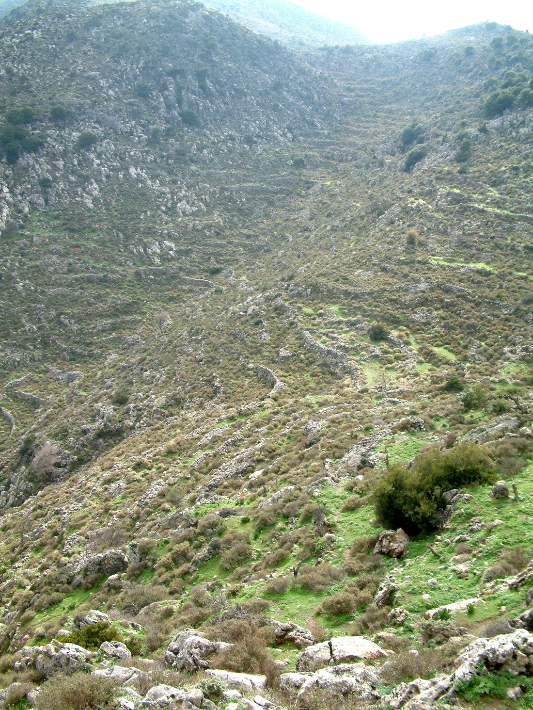 discover crete