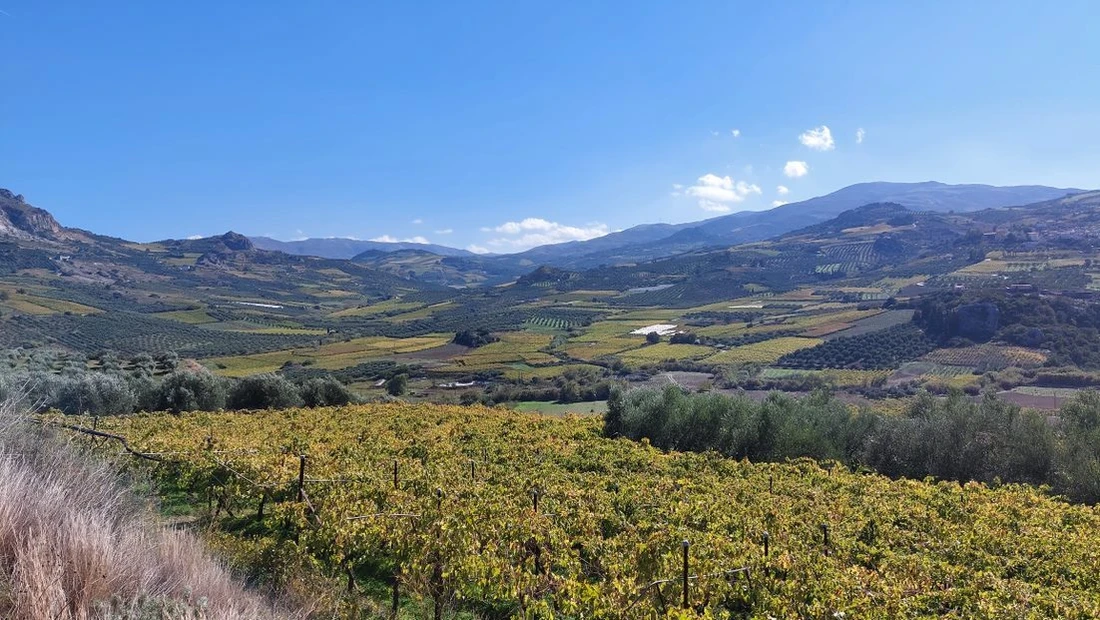 discover crete