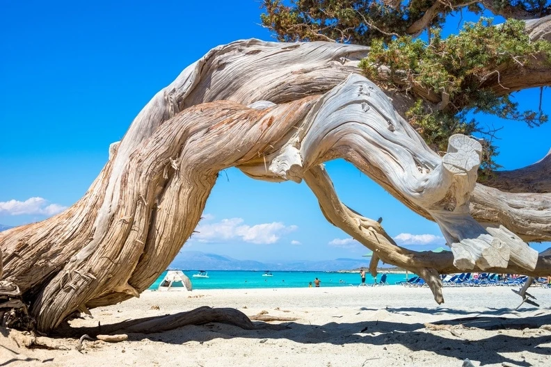 discover crete