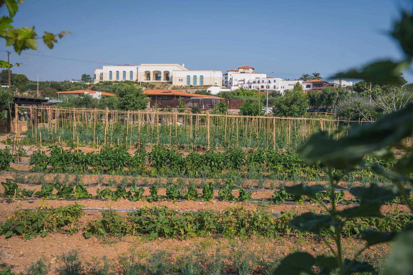 Creta Maris: “Πράσινες” εμπειρίες