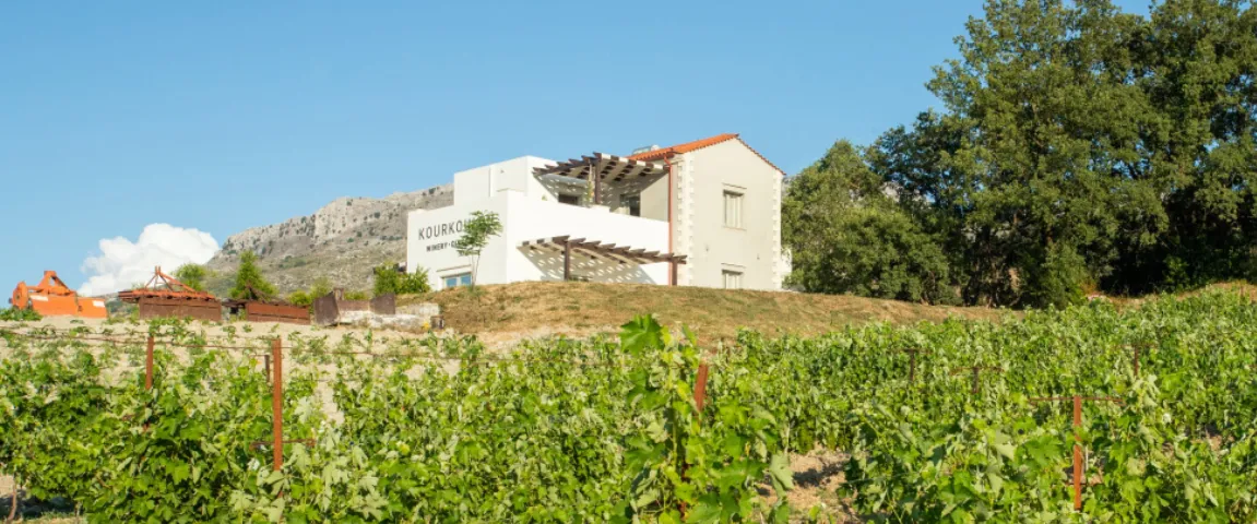 Kourkoulos Winery: An enchanting wine experience amidst nature in Patsos village