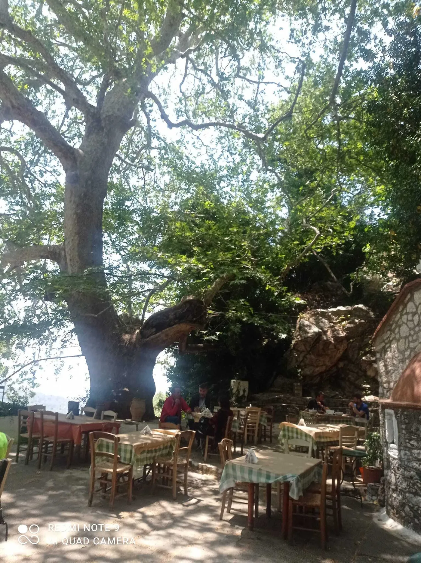 Ταβέρνα Αγίας Παρασκευής: Αυθεντικές γεύσεις Κρήτης στην καρδιά του Χριστού Ιεράπετρας