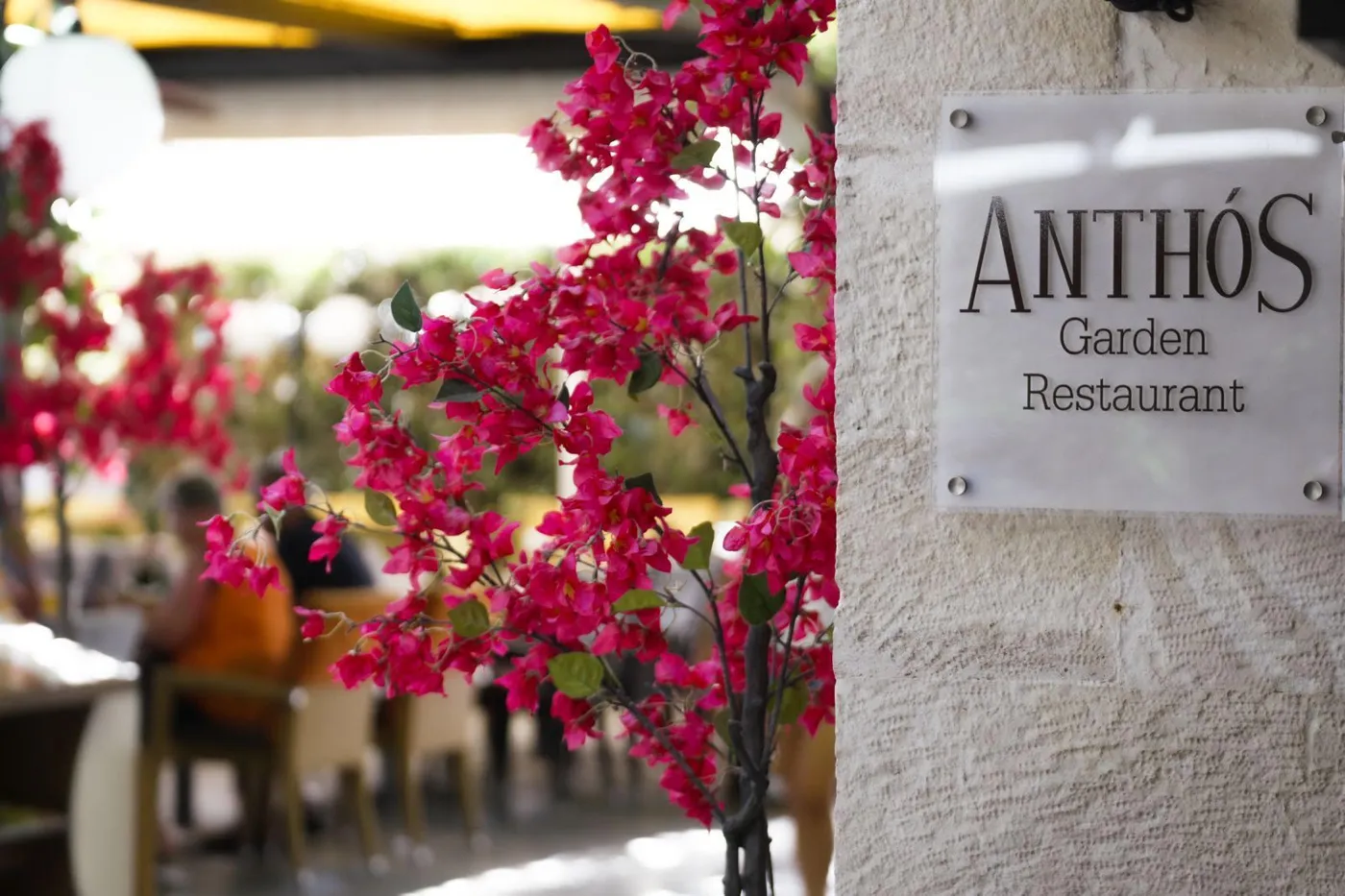 Anthos Restaurant: Mediterranean Cuisine with a View of the Venetian Harbor of Rethymno