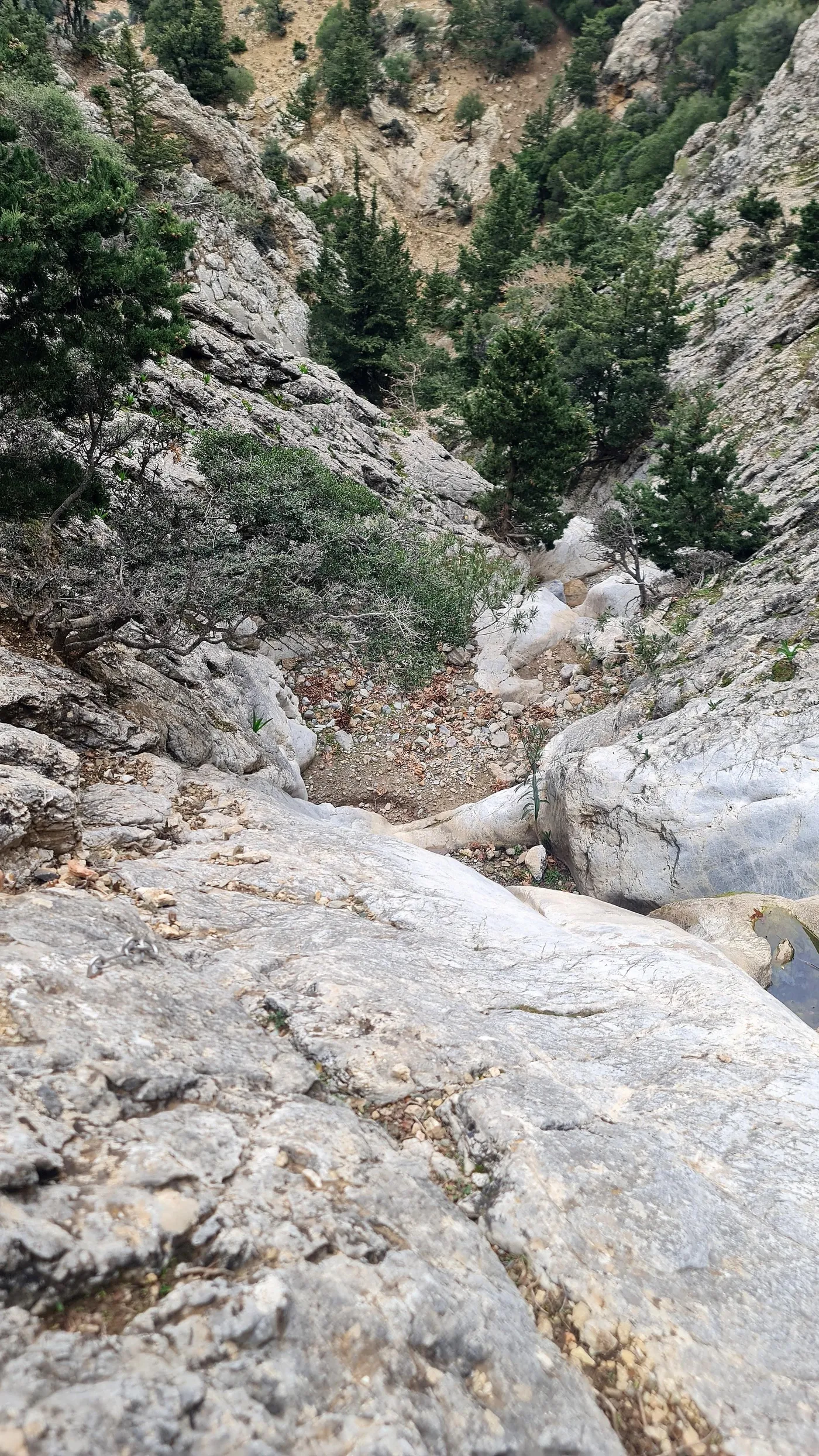 Canyoning στο φαράγγι Ψαρό Νερό