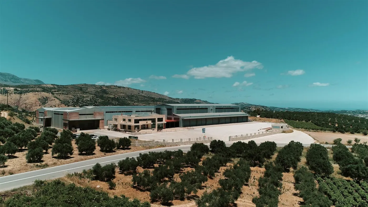 A Visit to the Winery of the Heraklion Agricultural Cooperative Union