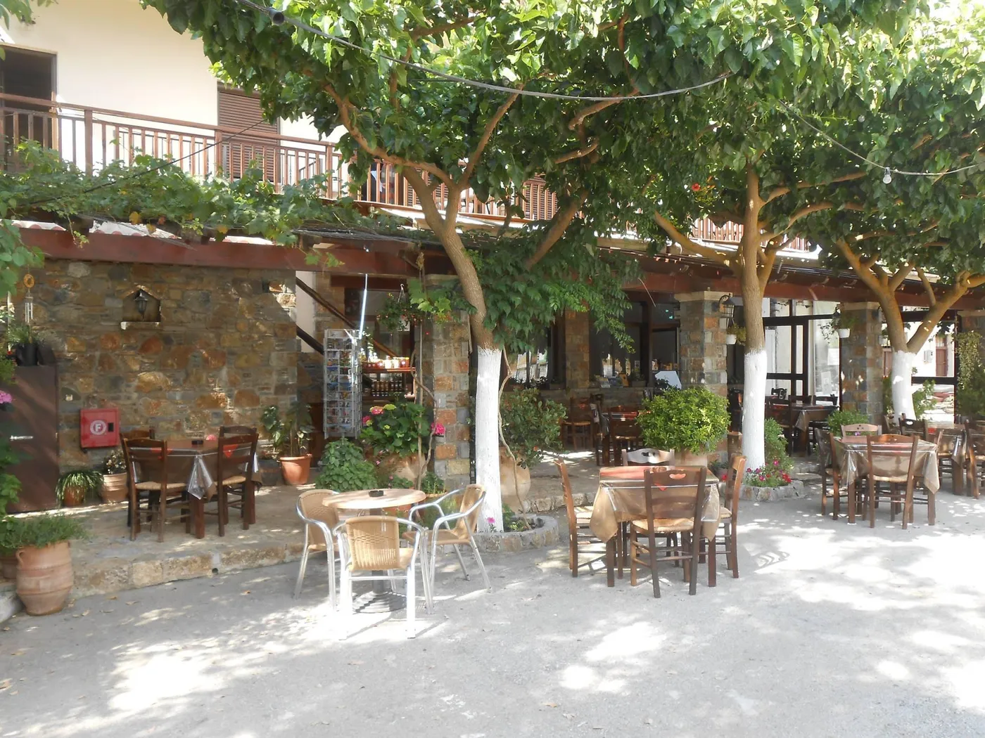 Platanos: Delicious dishes under the plane tree in Anopolis, Sfakia