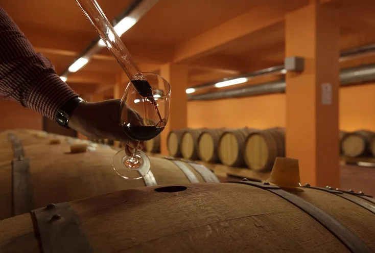 Επίσκεψη και γευσιγνωσία στο Κτήμα Ζαχαριουδάκη στην Πλουτή