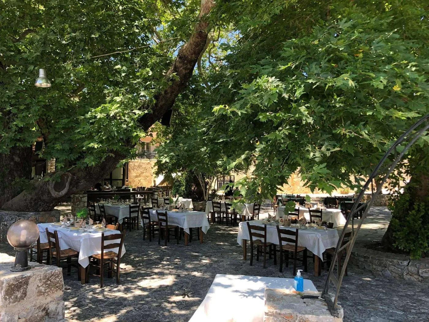 Ta Platania tis Spilias: Delicious Food in the Shade of the Trees