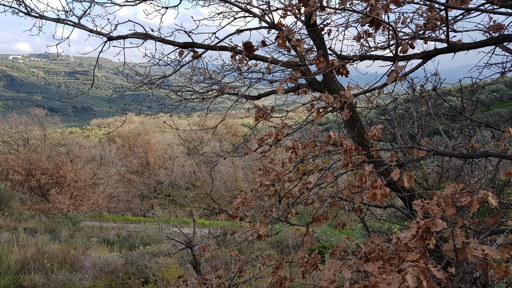 Drakona Kolymbari: A Beautiful Village, Perfect for Cozy Moments!