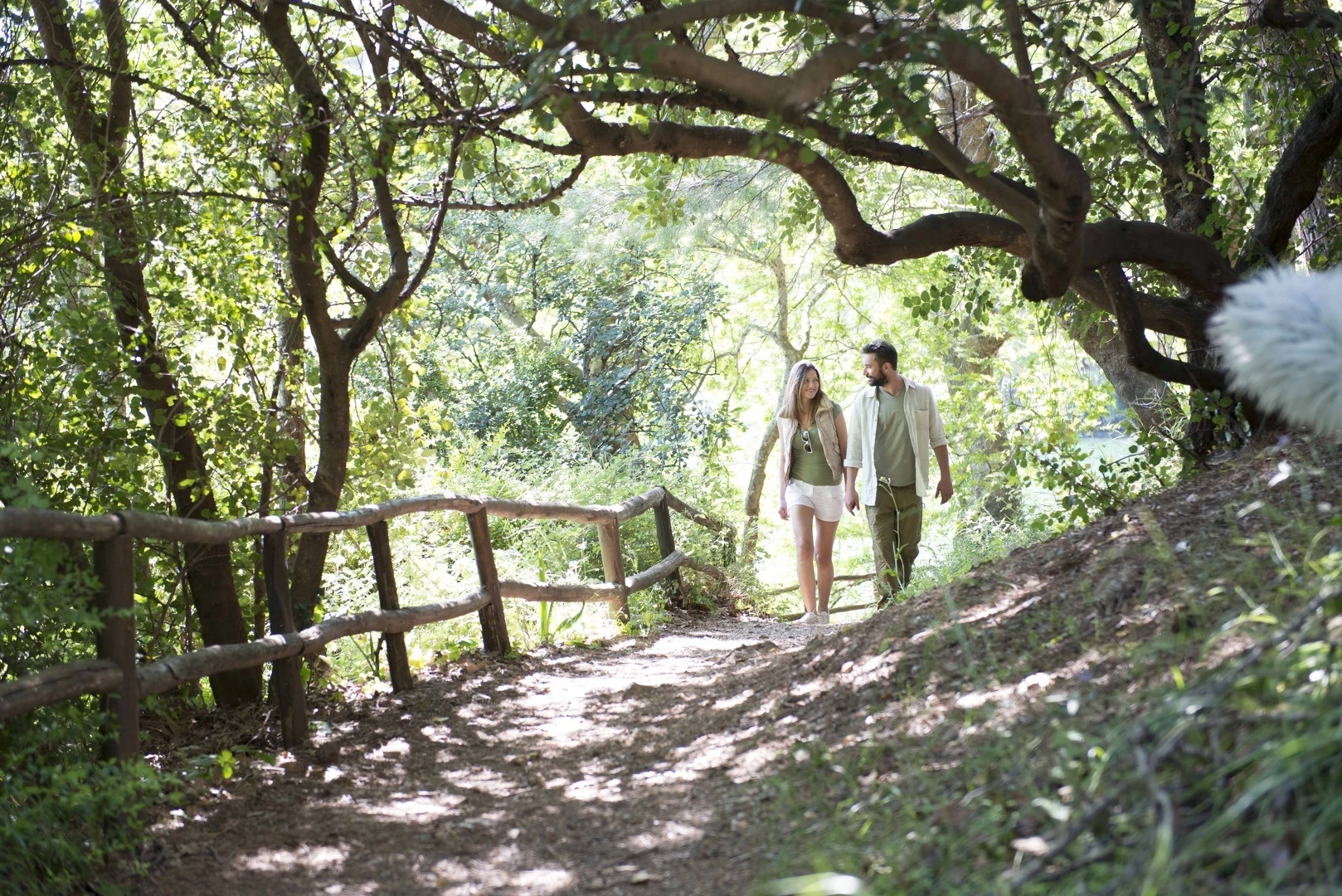 Exploring Creta: Πεζοπορία Ανώπολη – Πάχνες