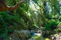 Knossano or Agia Irini Gorge