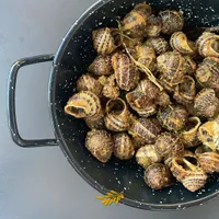 Εleas Thea: Εκεί που η παράδοση συναντά τη σύγχρονη εποχή