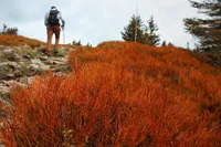 Mesavlia-Deliana Gorge: A Child-Friendly Trek with a River Journey