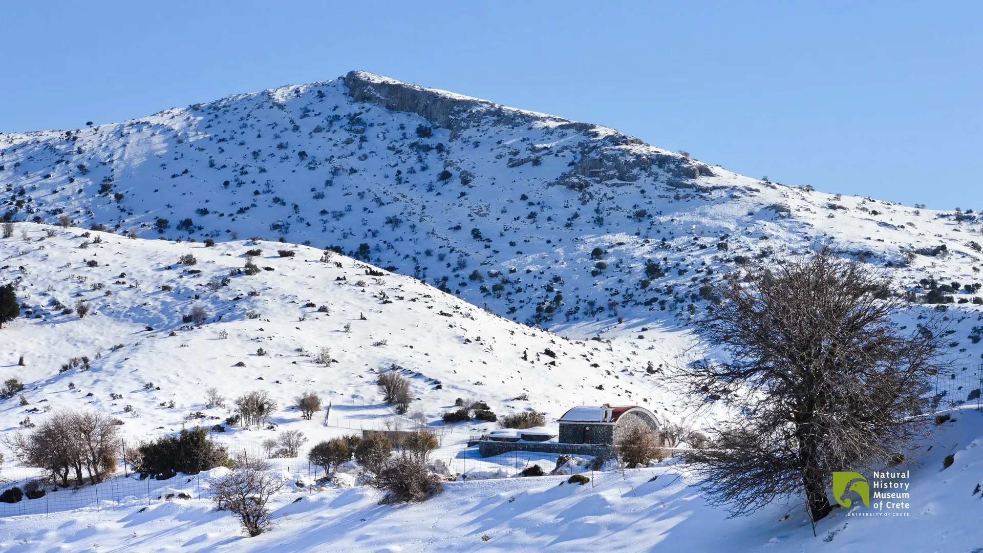 Εκδρομή στη φύση: Στο Οροπέδιο Λιβάδι!
