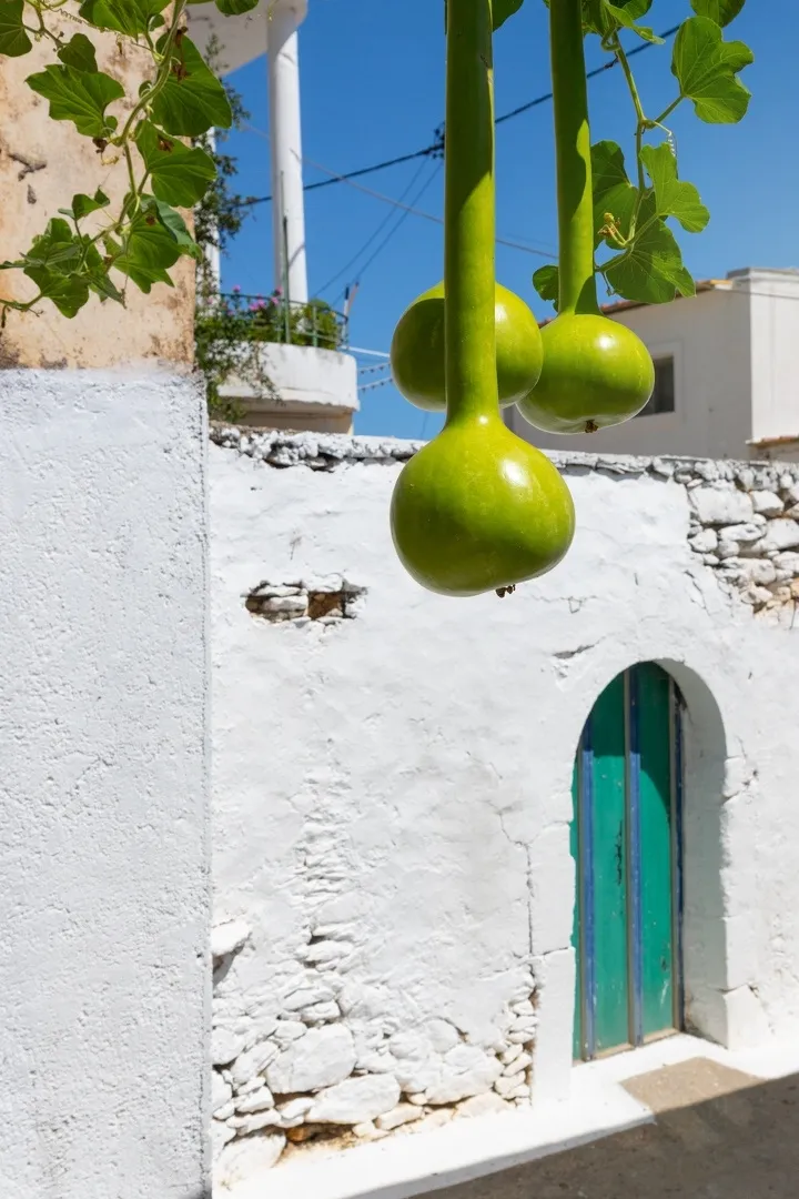 Γνωρίστε στους ανεμόμυλους του Λασιθίου!