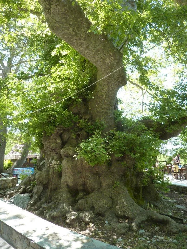 Μονοήμερη εκδρομή στο ιστορικό χωριό Κράσι!