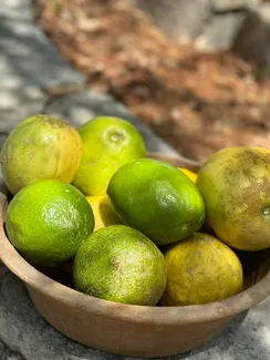 35th Pancretan Citron Festival in Garazo