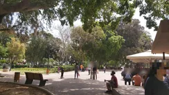 “Flavours and Melodies of the World” at Georgiadis Park