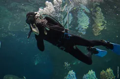 Θεοφάνεια στο Ενυδρείο Κρήτης