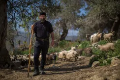 12th Shepherd and Cheese Festival in Zoniana