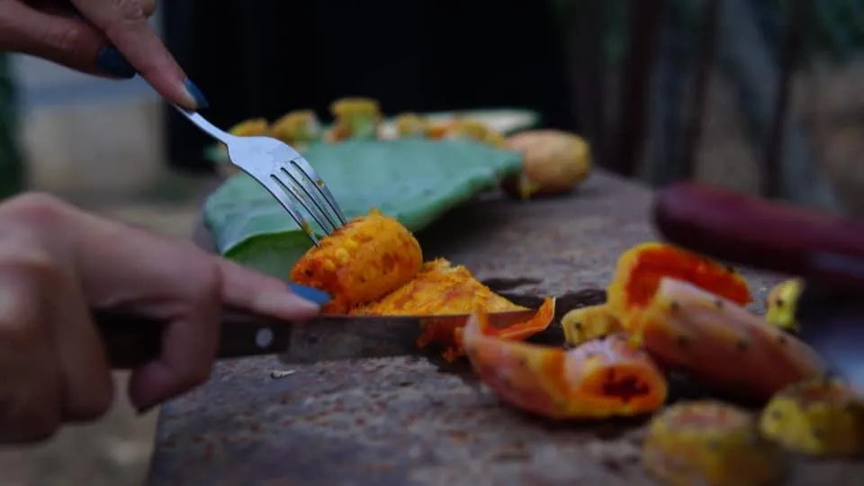 Καπλοσυκιά ή παπουτσοσυκιά