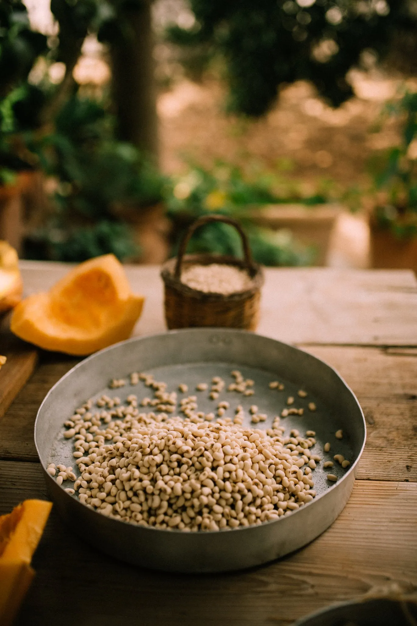 Apostoli White-Eyed Bean