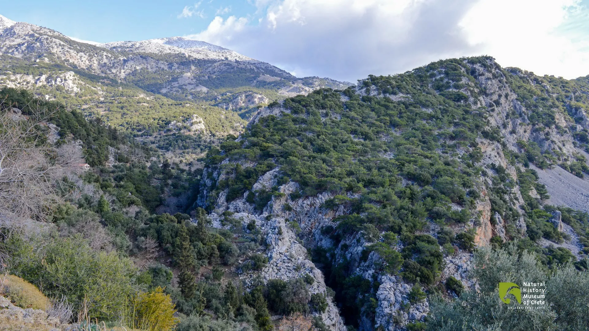 7 Must-Visit Gorges in Sitia