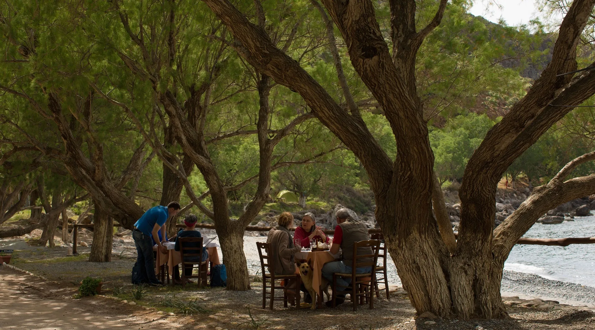 Already in Crete? Make the most of it.