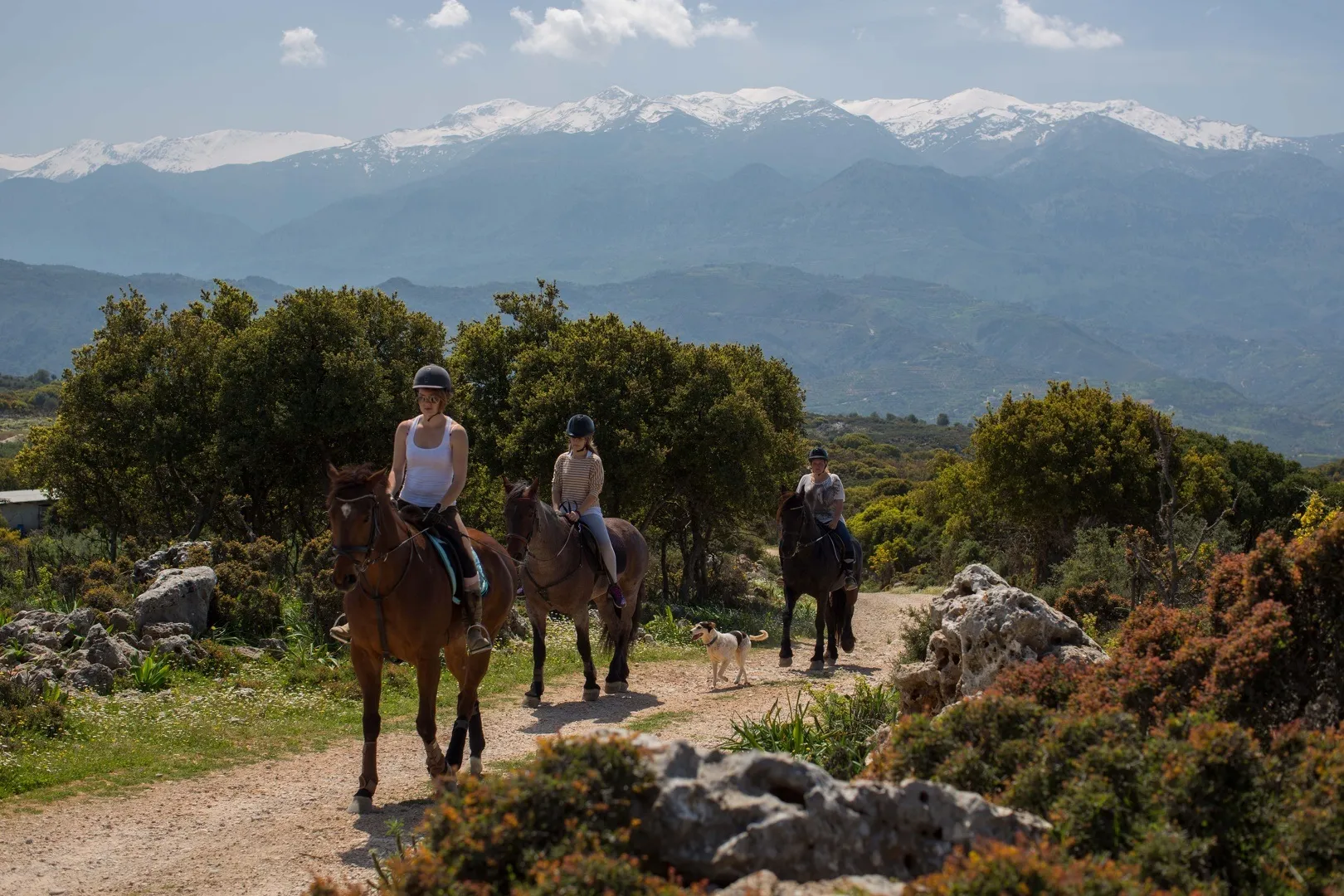4 Perfect Spots for Horseback Riding in Crete!