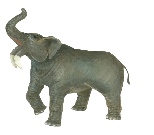 Deinotherium giganteum