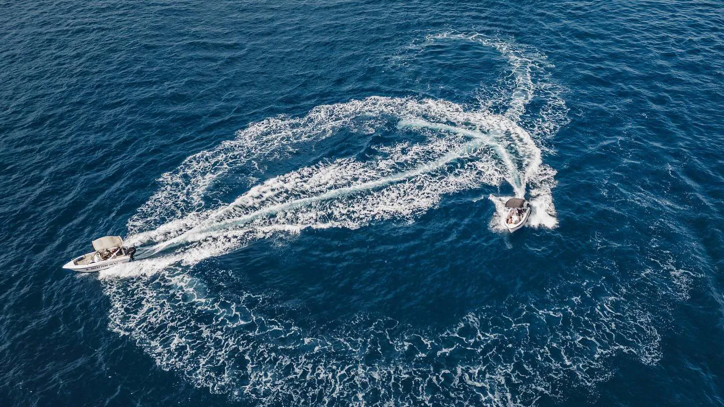 QUIZ: Are You a Captain or a VIP Passenger? Find Out Who You Really Are!