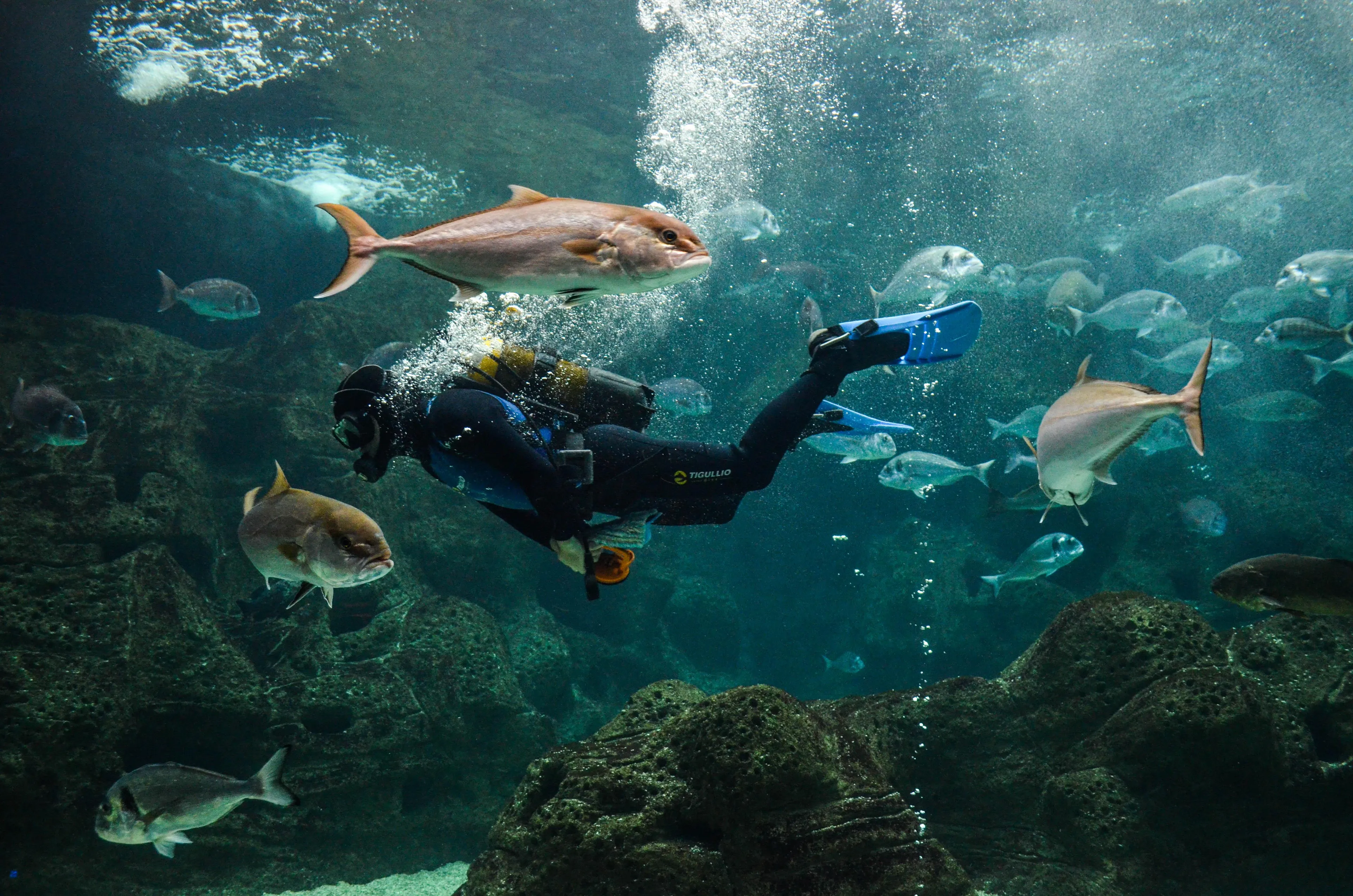 Podcast: Eyes on the Depths of the Mediterranean!