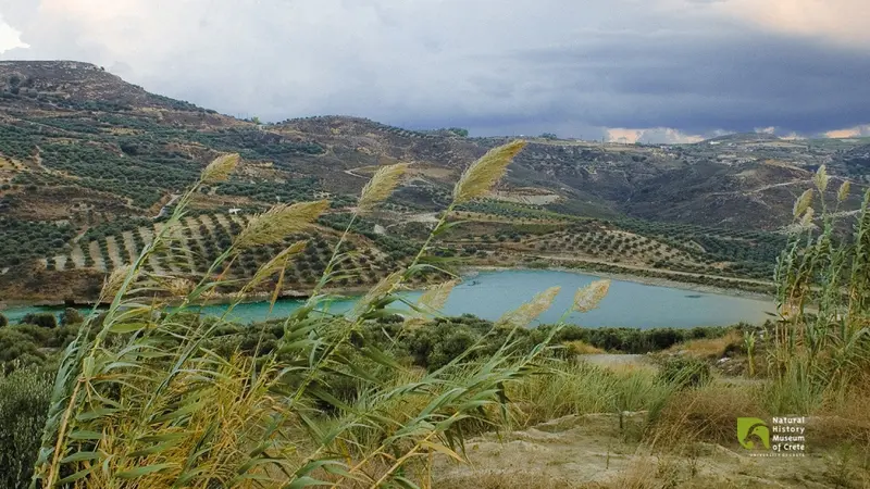 Observe the Birds in 6 Dams of Heraklion!