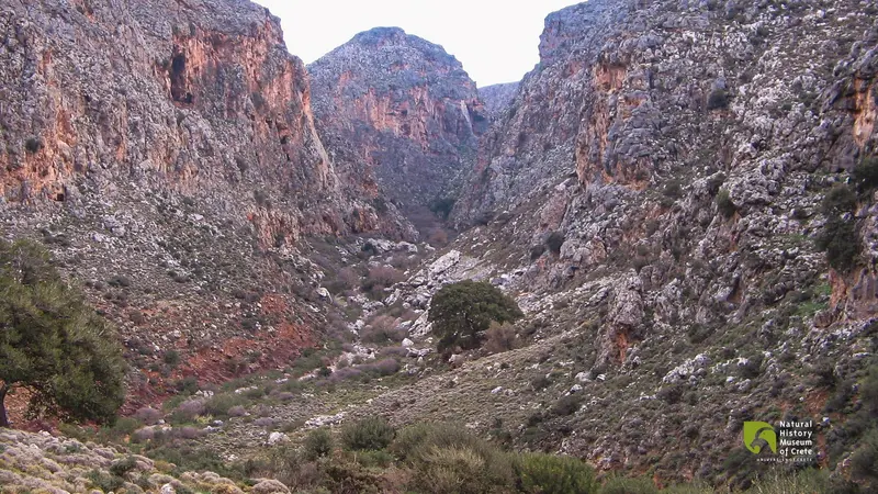 9 φαράγγια του Λασιθίου και… η Ιστορία τους!