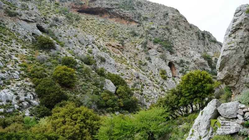 Φαράγγι του Αγίου Χαραλάμπους