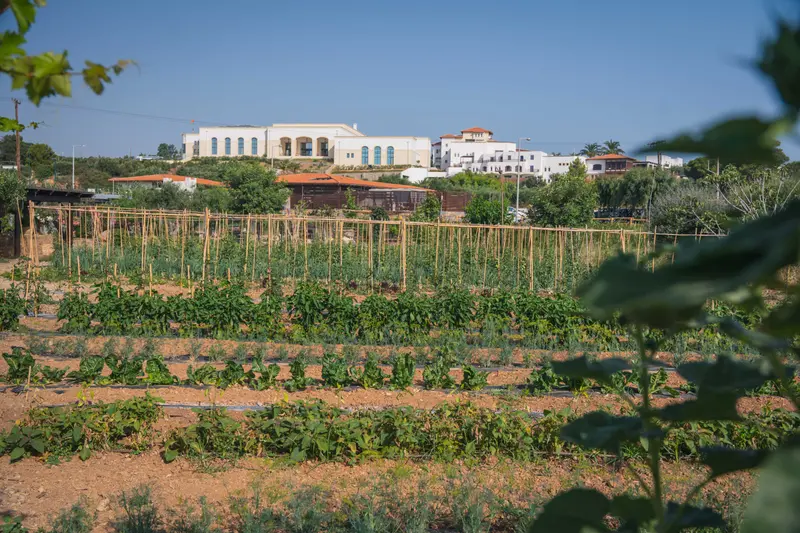 Creta Maris: Green experiences