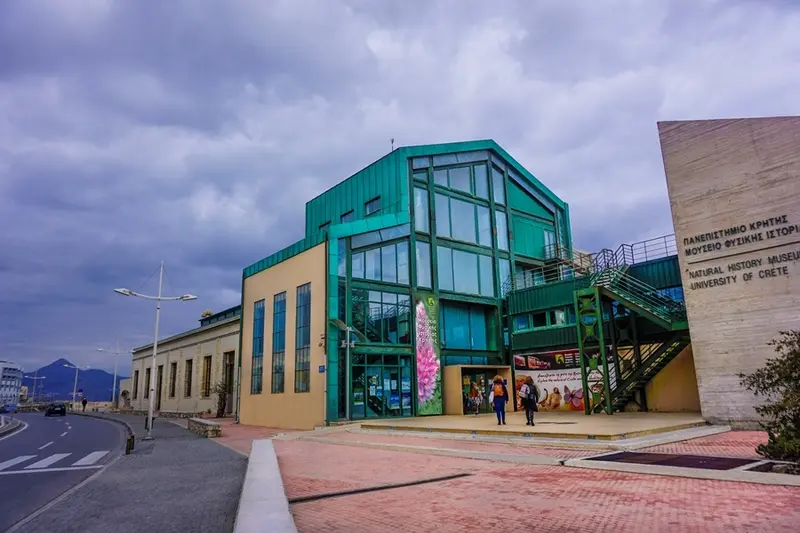 Enceladus has returned to the Natural History Museum of Crete!