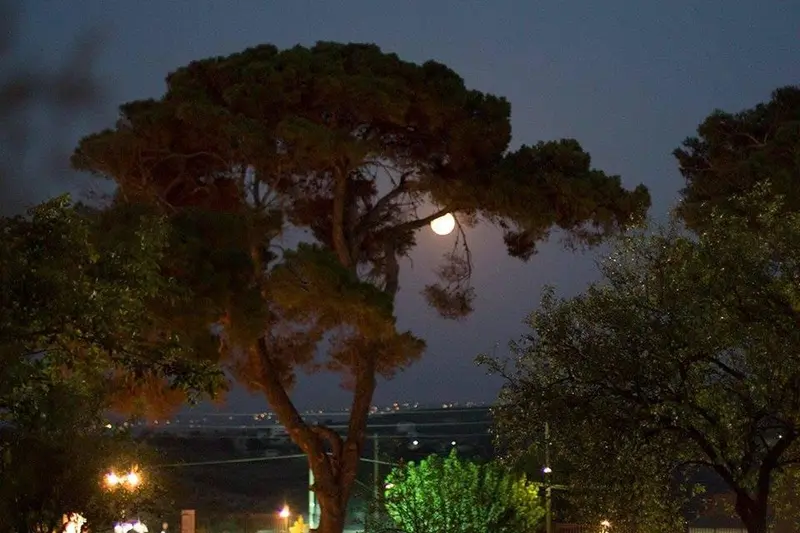Jazz from Earth to the Moon
