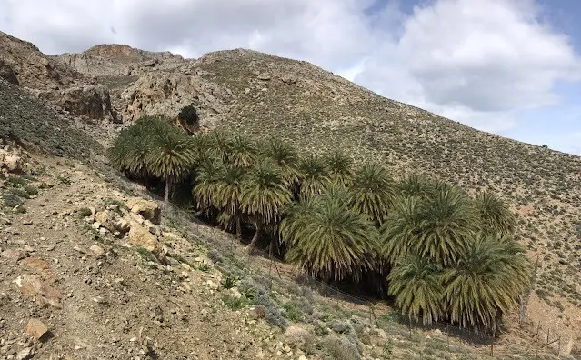 Achentria – Mariadaki – Tsoutsouras: Time for Exploration