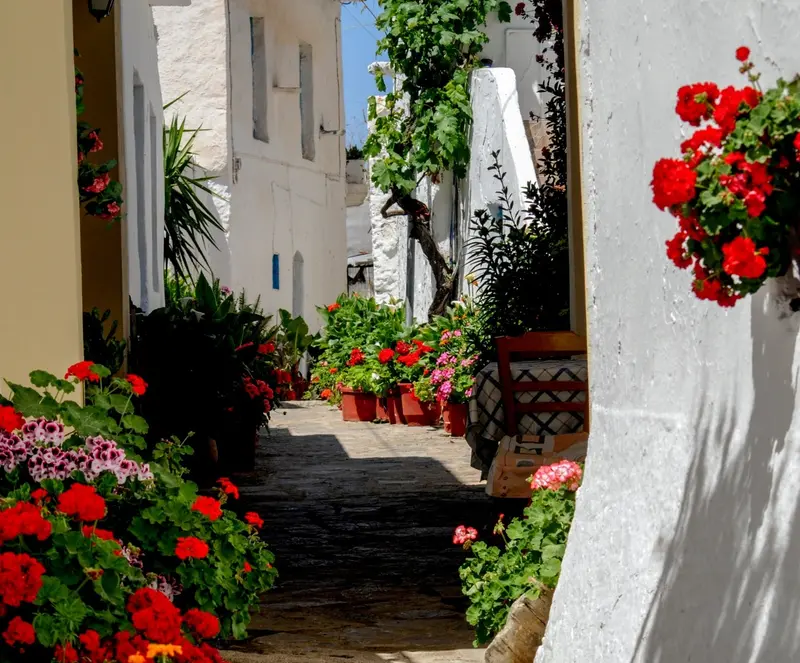 Enagron: Enjoy a Botanical Walk in Axos!