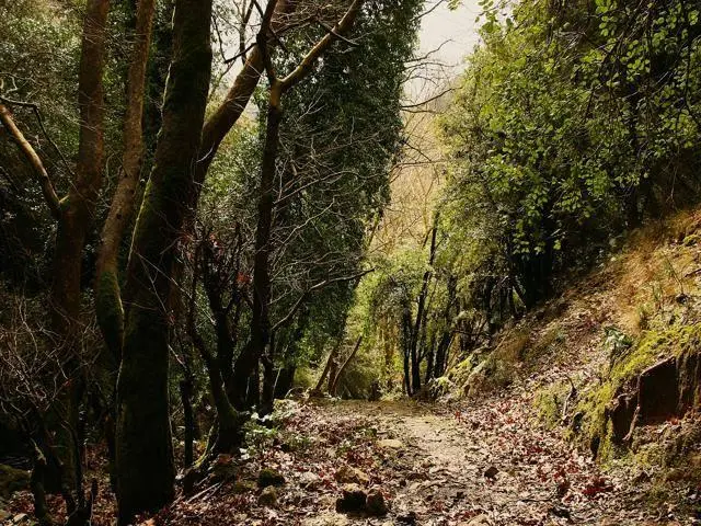 Explore Vrysi Gorge