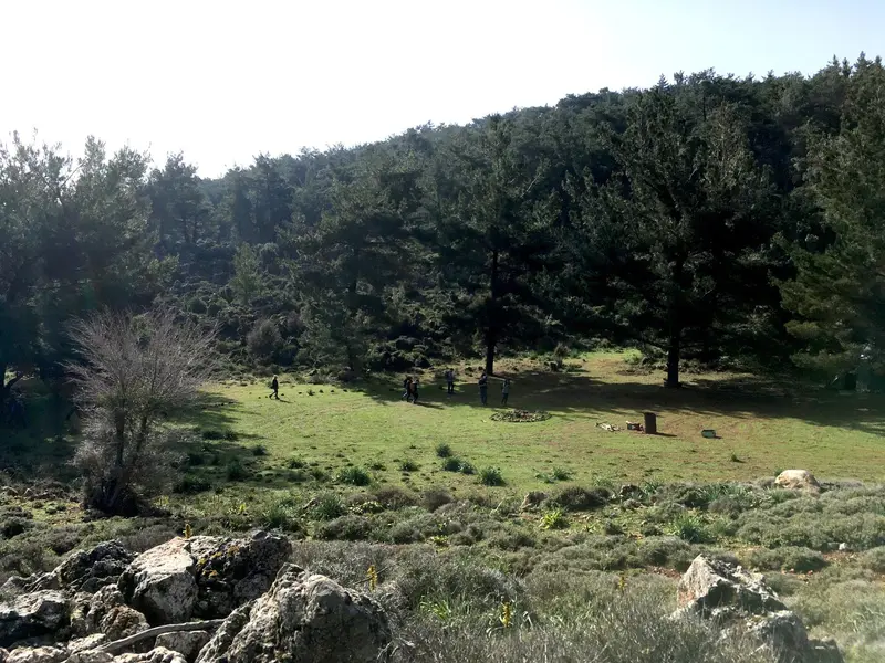 Hiking with a Wood Carving Workshop!
