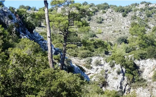 Gorge of Havgas (Kalamafka)