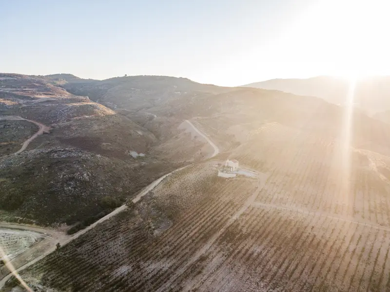 Κρασί: Μία σχέση μυσταγωγίας με την Κρήτη!