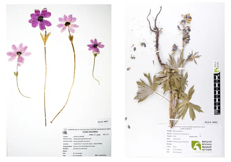 Το Μουσείο Φυσικής Ιστορίας Κρήτης αλλάζει ωράριο