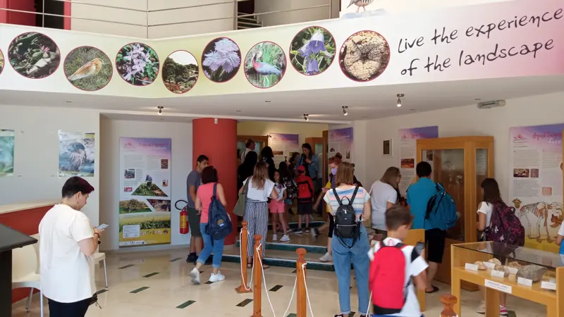 Zakros Natural History Museum