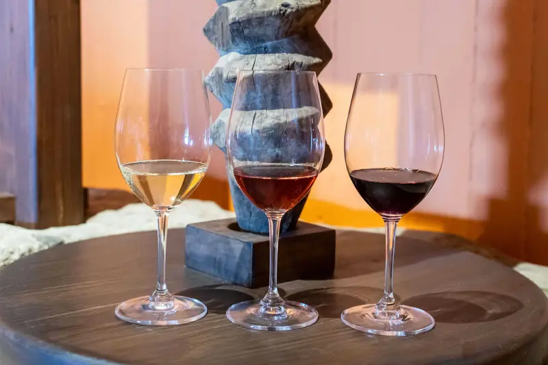 Oinos Experience: Private Wine Tasting in Peza