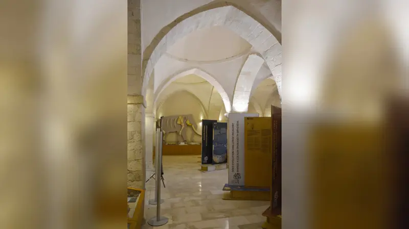 Podcast: When Lions and Rhinos Roamed Crete!