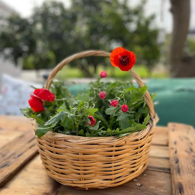 Poppy Pies (Paparounopites)