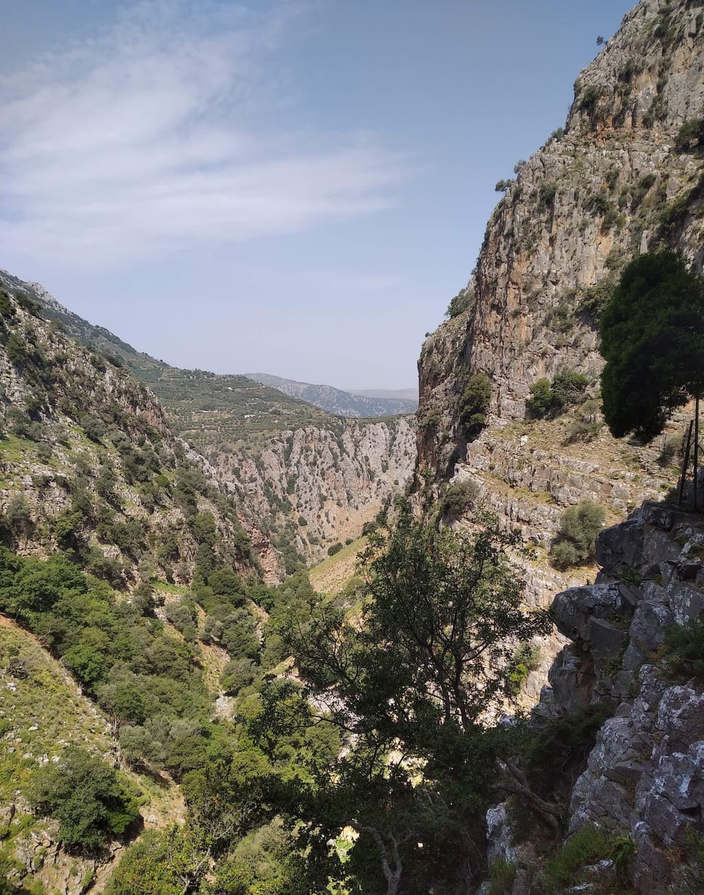 Rosa Gorge